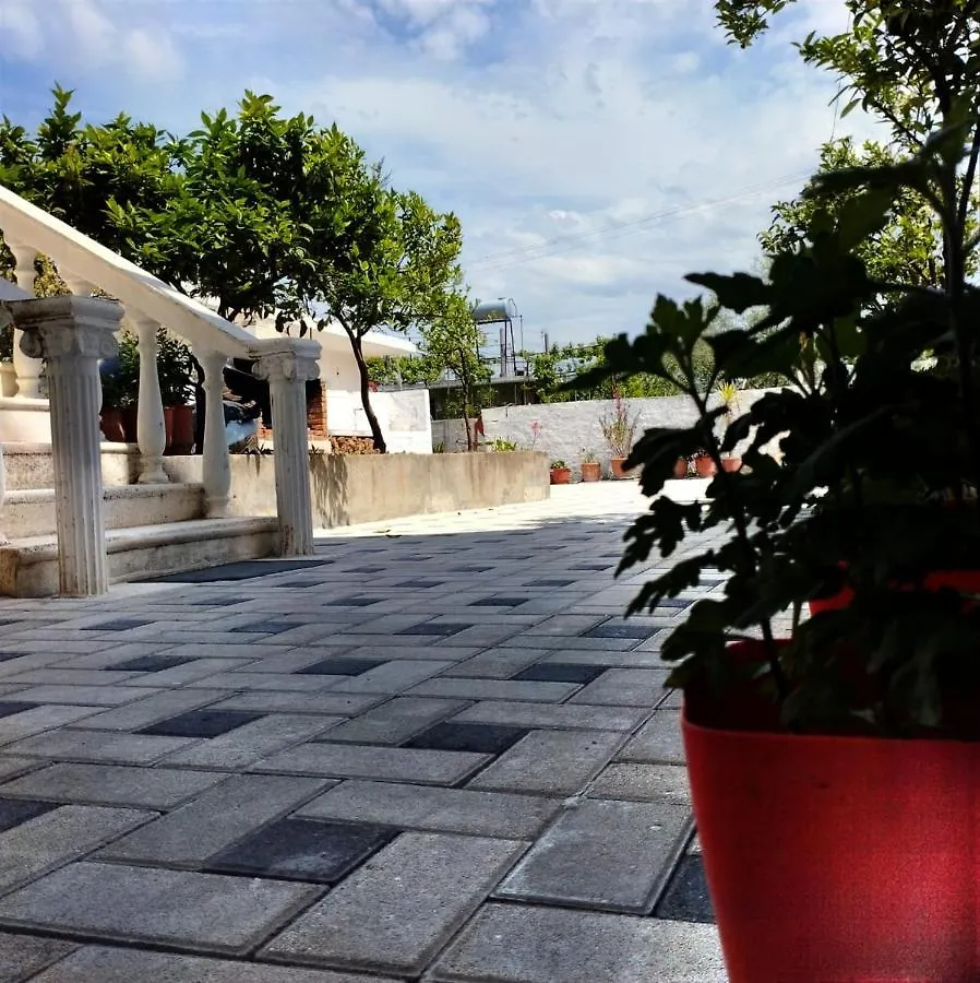 Belka Studios Wlora